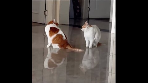 Terrible revenge!