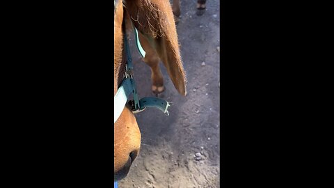 Take the Time it Takes and it Takes Less Time