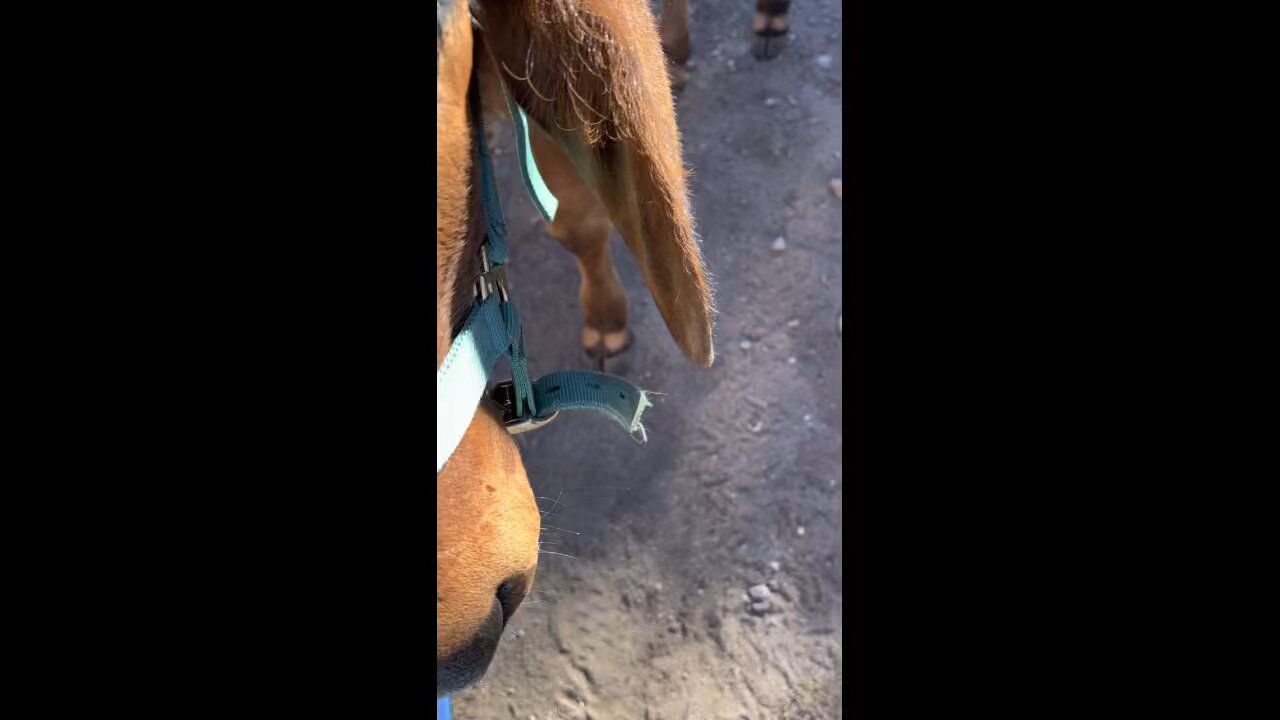 Take the Time it Takes and it Takes Less Time