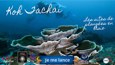 Sortie croisière aux iles Similans en 2025/2026