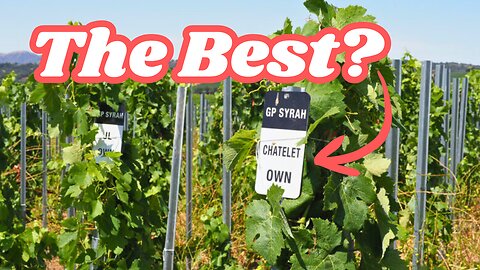 Is This California's Best Syrah?