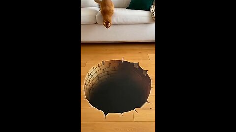 Cat 🐈😺 Discovered a secret level 🤣🤣 videos 😄 comedy 😁😅