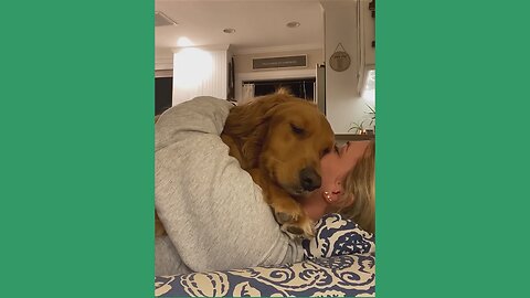 The Funniest Dog Moments You’ll Ever See! 😂🐶