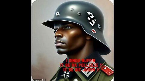 Nazis are niggers too