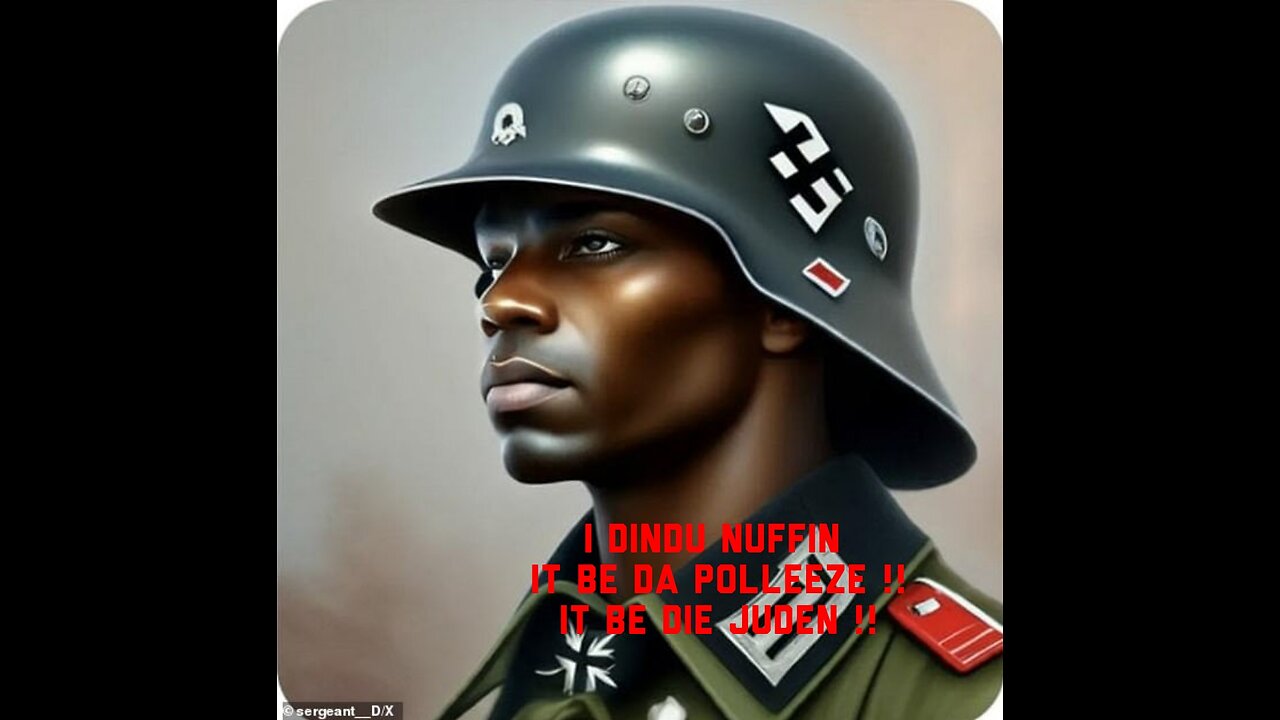 Nazis are niggers too