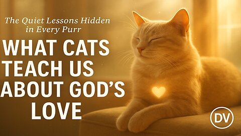 What Cats Reveal About the Heart of God 🐈💛