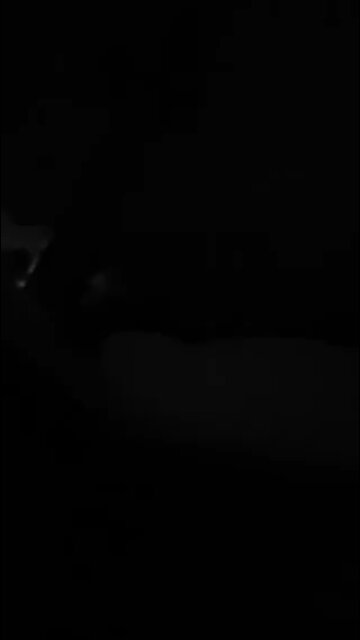 🚨 Israeli forces open live fire during West Bank raid