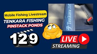 Pond Fishing Tenkara Style #mobile #fishing #livestream #irl