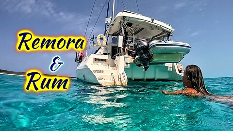 SDA212 Repairs, Remoras & Raising a Toast