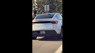 monkey see monkey do