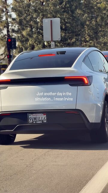 monkey see monkey do