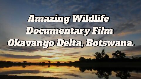 Amazing Wildlife of Okavango Delta, Botswana