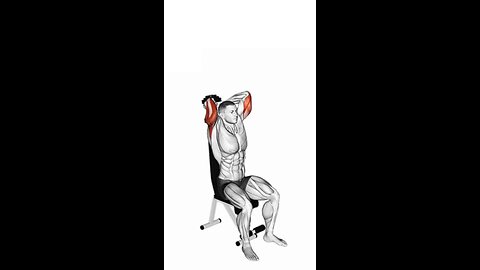 Seated Dumbbell Triceps Extension Exercise.