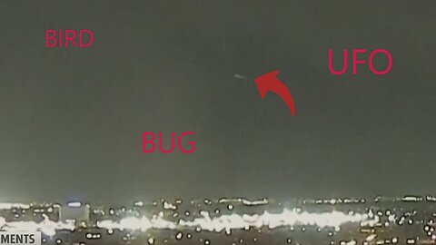 Is it a bird bug or UFO