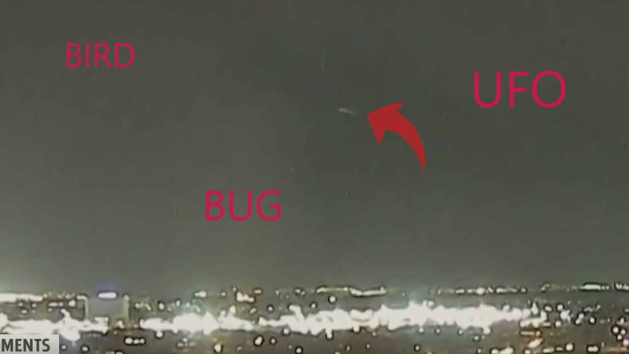 Is it a bird bug or UFO