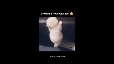 That's not even a feet