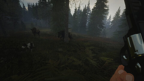 Whitetail Deer & Moose Hunt in Layton Lake District! | theHunter: Call of the Wild