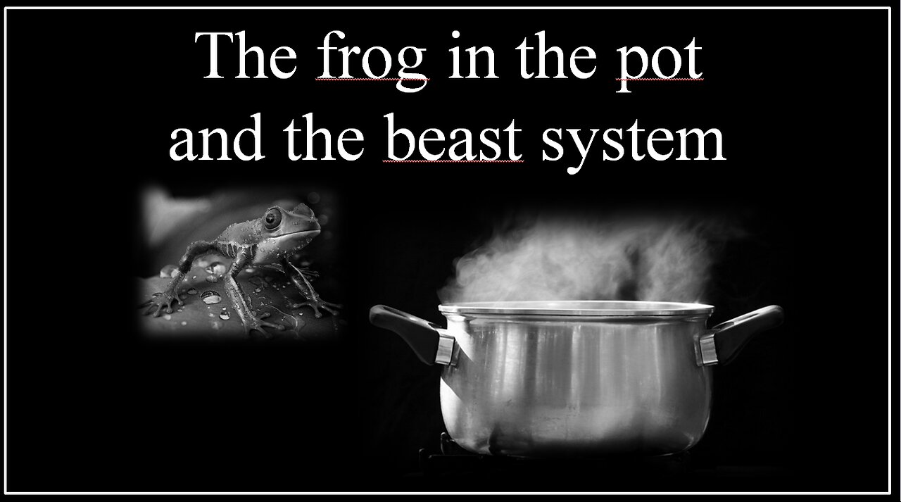 The frog in the pot and the beast system