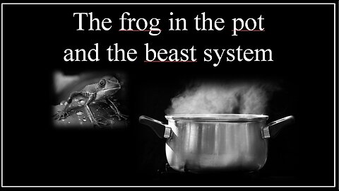 The frog in the pot and the beast system
