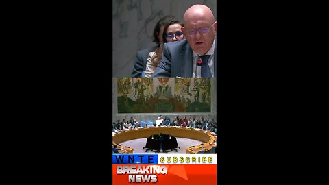 UN Council Backs Donald Trump’s Framework for Gaza