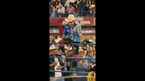 Bull Gone Wild: Shocking Moment a Bull Attacks the Crowd!"