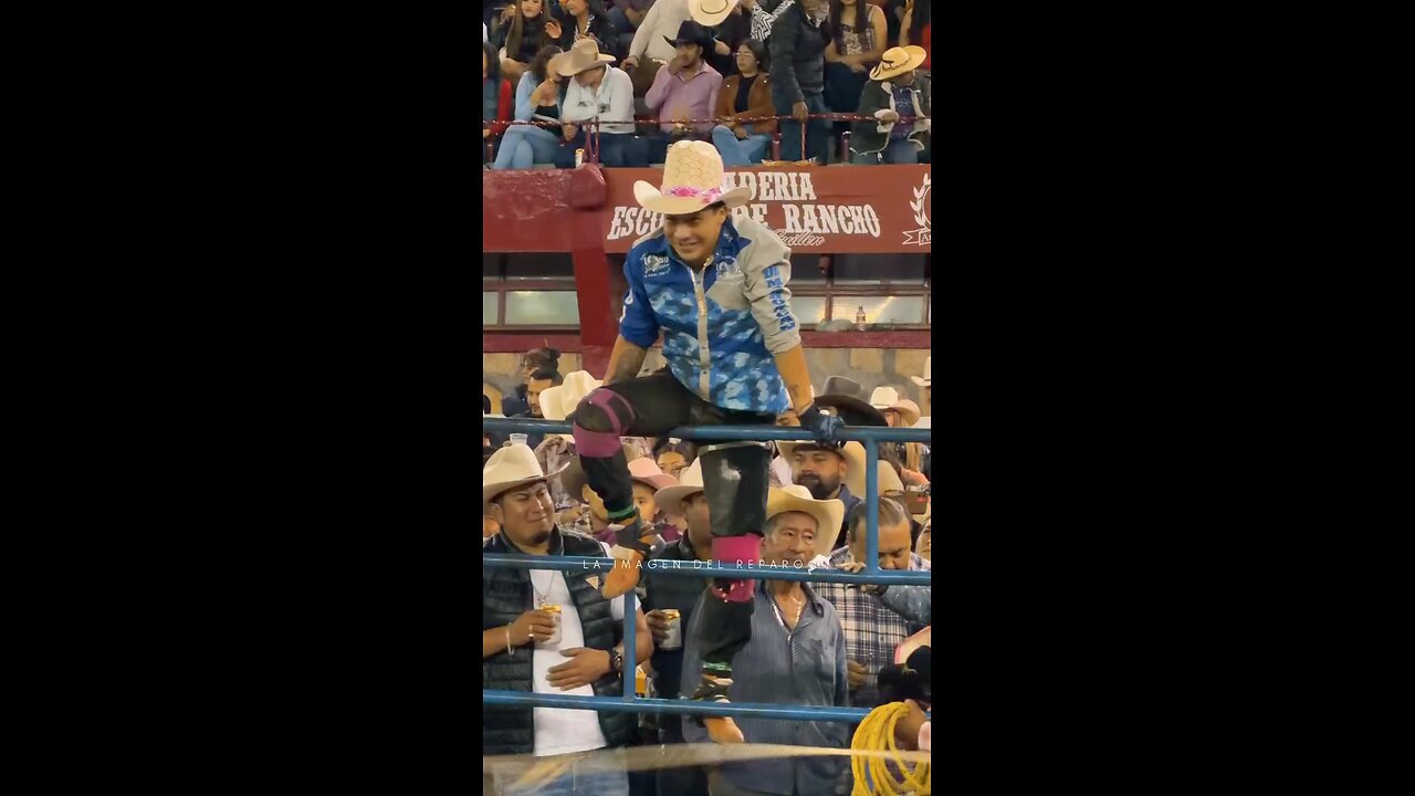 Bull Gone Wild: Shocking Moment a Bull Attacks the Crowd!"