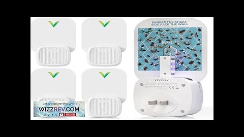 Fly Catcher Indoor Fly Trap Indoor (4 Device + 12 Refills) Fruit Review