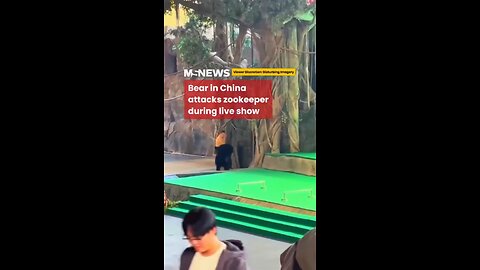 Next life incarnate into UFC cage