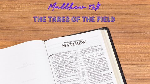 Matthew 13B | The Tares of The Field