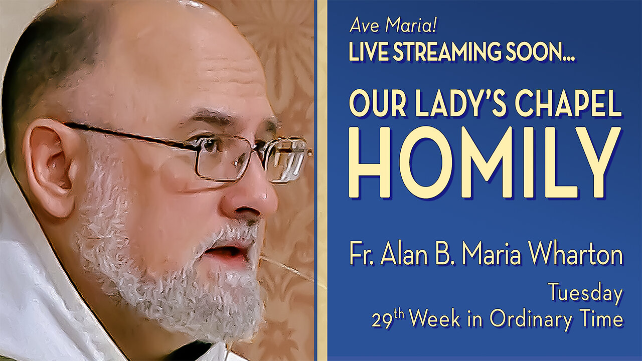 Tuesday of the Twenty-Ninth Week in Ordinary Time - October 21, 2025 - OLC HOMILY