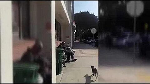 [Apr 3, 2020] LOS ANGELES Hospitals EMPTY Amid C19 Pandemic [Old Religion Dystopia: Knowing Vs. Belief]