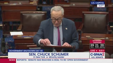 Sen Chuck Schumer is a no vote to open the Government