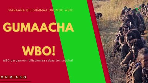 Gabaasa Gumaacha ONM-ABO Sadaasa 2-2025 itti dhiyaadhaa!