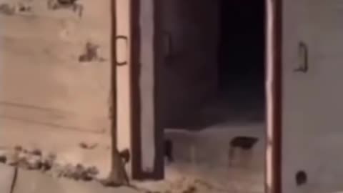 🔮🕳️ End of the Line | Most of the Time Mountains Are Not Just Mountains | TheTruthAbove