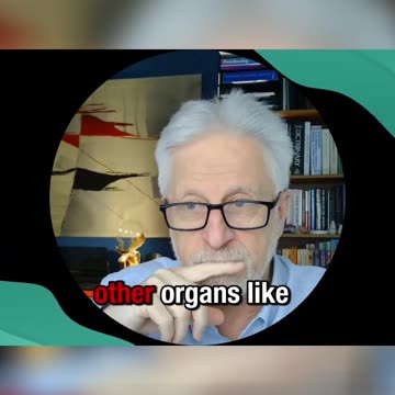 Tired All the Time? Mitochondria's Secret to Energy & Health!