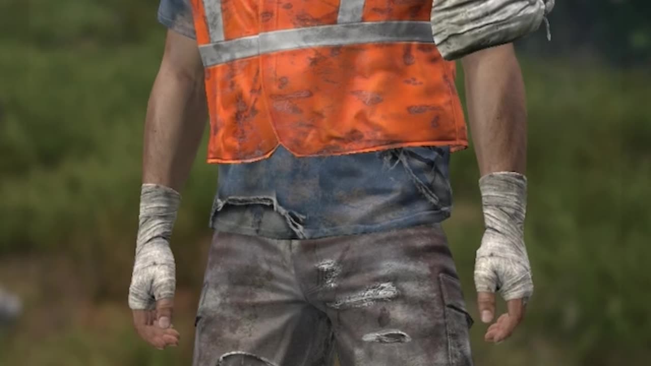 The Clolorblind of DayZ