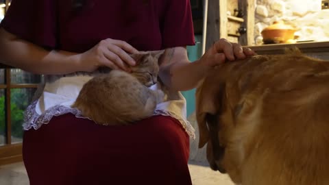 Baking an Amazing Apple Pie from 1800 _ Cozy Fall at the Cottage _ Fired Baked Pie ASMR