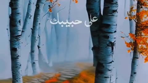 Subahanallah 😍♥️