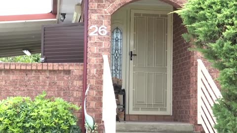 Australian police investigate home of Bondi Beach shooting suspects