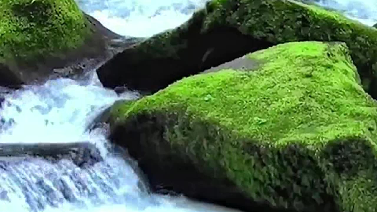 o naufragio do titanic 14.mp4