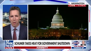 Democrats need to get back to work, says Sen. Josh Hawley