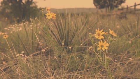 Aaron Watson - Riding With Red (Official Music Video)