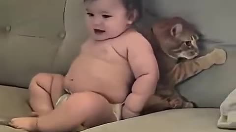 babies vs animals funny video
