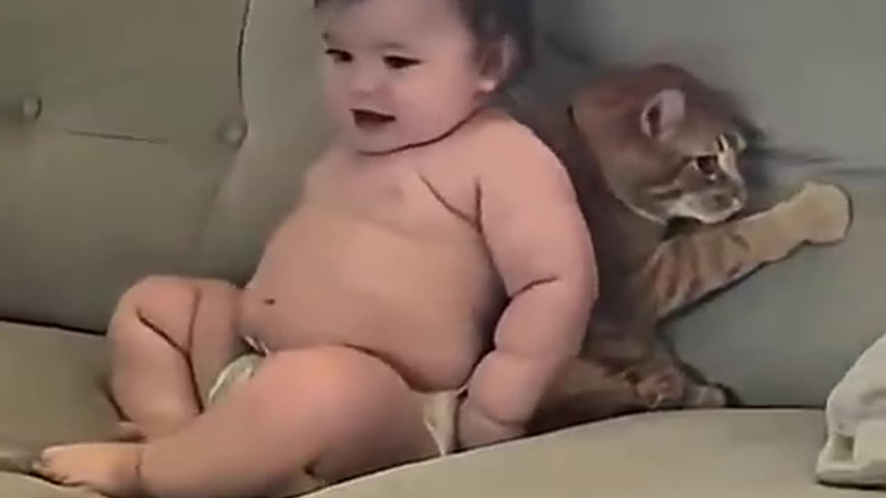 babies vs animals funny video