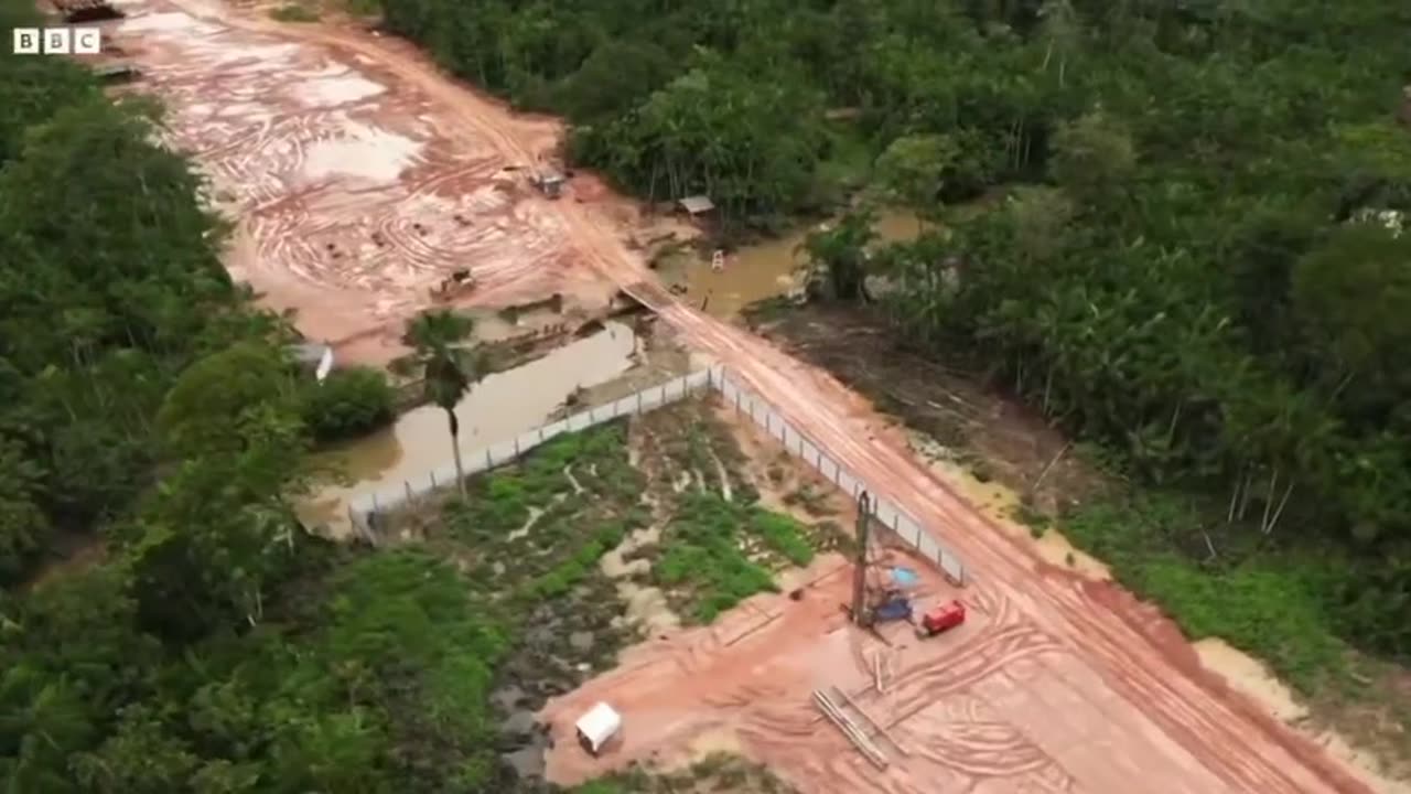 Tens of Thousands of Acres of Amazon Rainforest Destroyed to Build Gigantic Highway