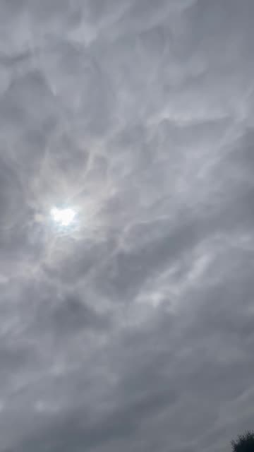 Delivery Drone Drops Package On Sidewalk