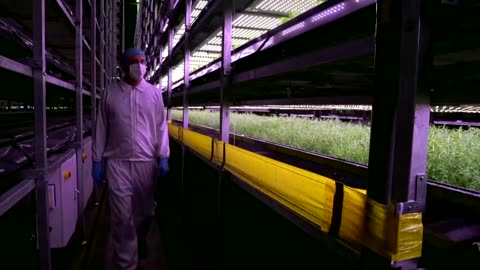 Bug-sized robots could help pollination on future farms