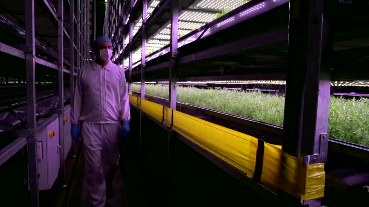 Bug-sized robots could help pollination on future farms