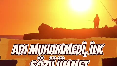 Beş yüz yetmiş birde bir güneş doğdu