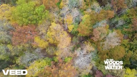 Marion County Wildlife Area [Three Troopers Remix]